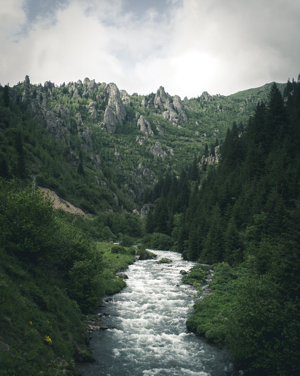 Image of a River and Mountain