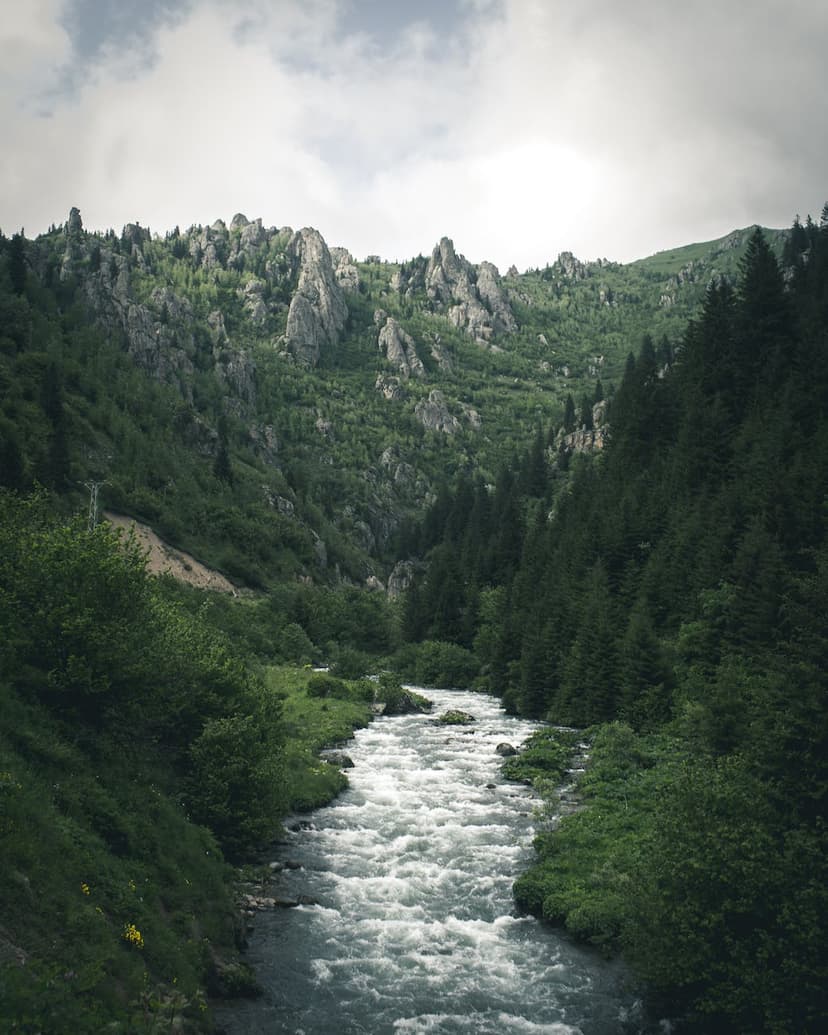 Visual Representation of Assessments